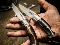 Boxer Desert Ironwood