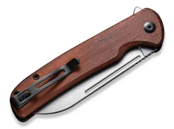 Chevalier Cuibourtia