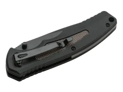 Gemini Nga Bk Coyote