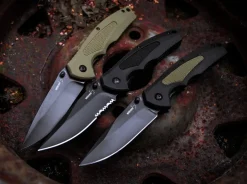 Gemini Nga Bk Coyote