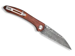 Hadros Cuibourtia Damascus