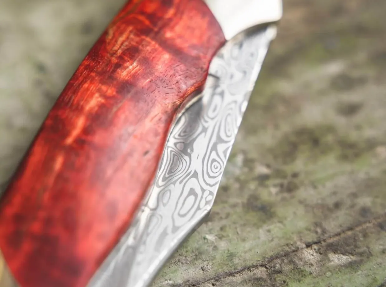 Junior Scout Curly Birch Red Damascus