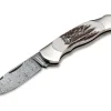 Junior Scout Spearpoint Stag Damascus