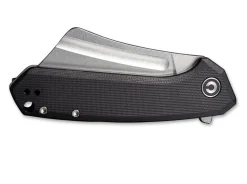 Mini Bullmastiff Black