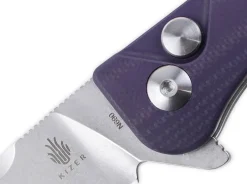 Sway Back G10 Purple